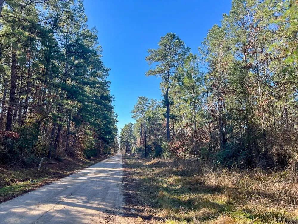 4 Highway 287 Pennington, TX 75845