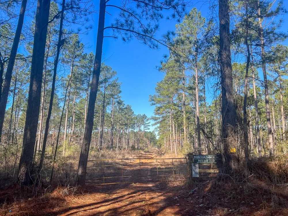 4 Highway 287 Pennington, TX 75845