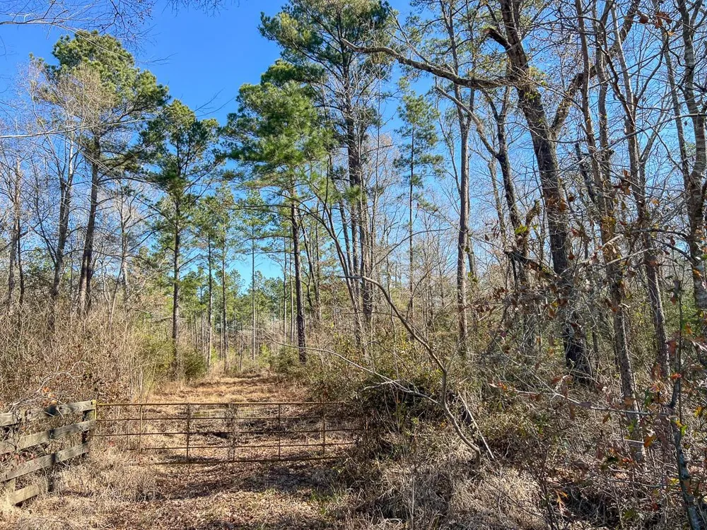 4 Highway 287 Pennington, TX 75845