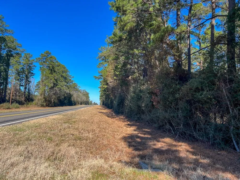 4 Highway 287 Pennington, TX 75845