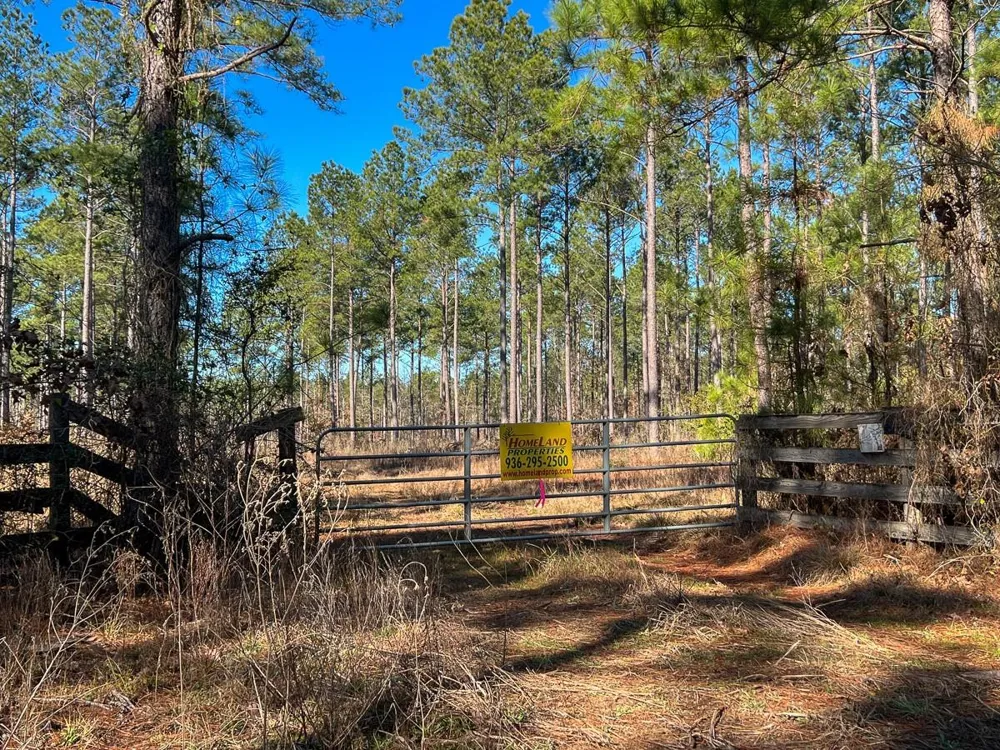 5 Louisville Road Pennington, TX 75845