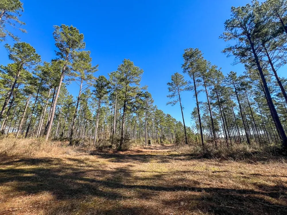 5 Louisville Road Pennington, TX 75845