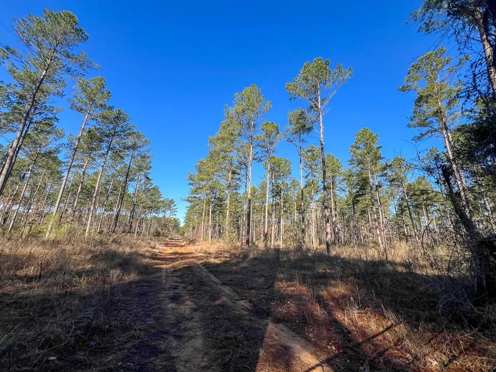 5 Louisville Road Pennington, TX 75845
