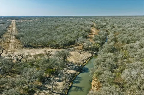 CR 146