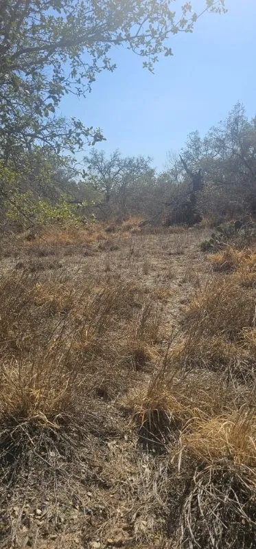 432 Peaceful San Antonio, TX 78264