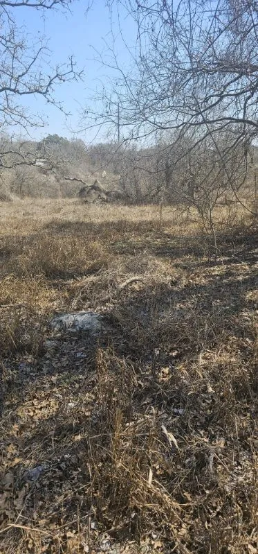 432 Peaceful San Antonio, TX 78264