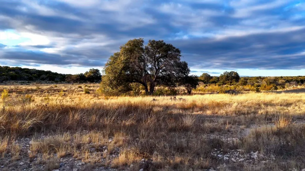 Deberry Lane Sonora, TX 76950