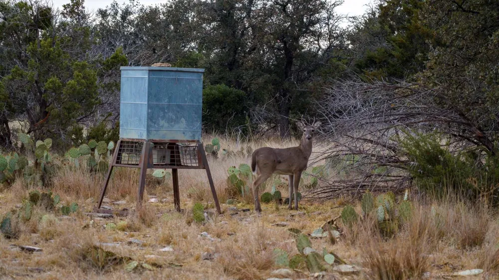 Deberry Lane Sonora, TX 76950