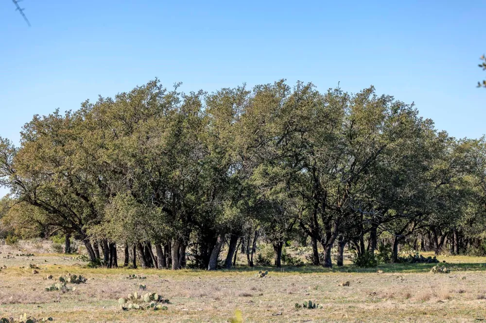 Deberry Lane Sonora, TX 76950
