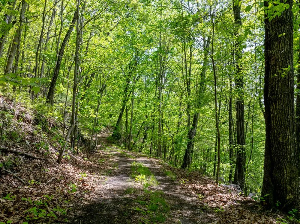 Woodring Cemetery Road Tuckasegee, NC 28783