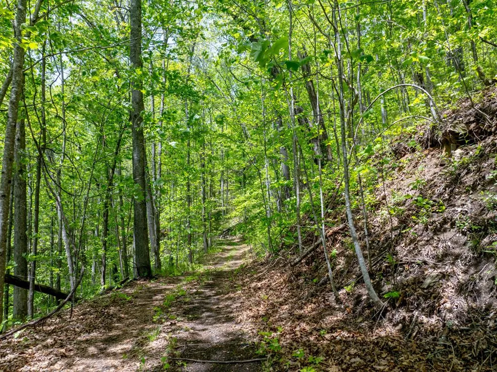 Woodring Cemetery Road Tuckasegee, NC 28783