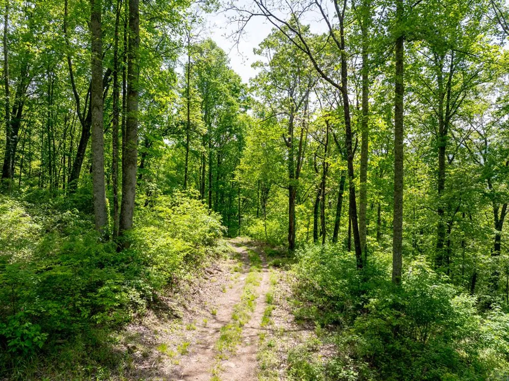 Woodring Cemetery Road Tuckasegee, NC 28783