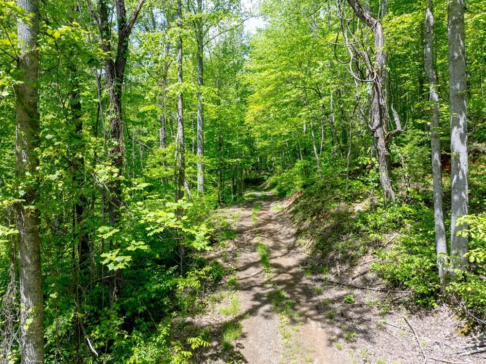 Woodring Cemetery Road Tuckasegee, NC 28783