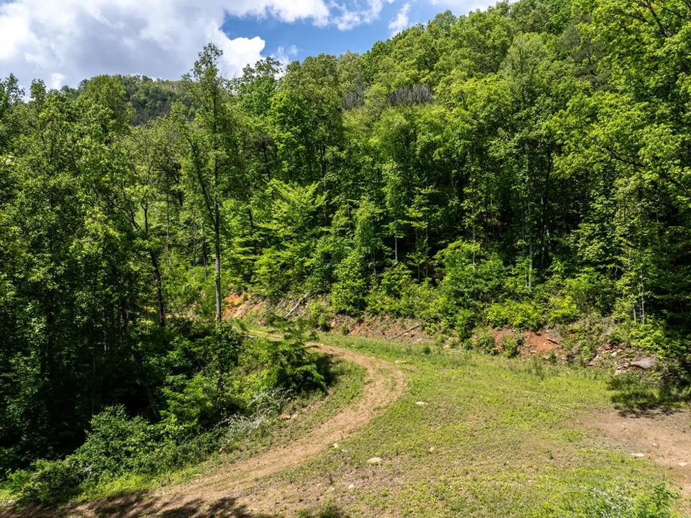 Woodring Cemetery Road Tuckasegee, NC 28783