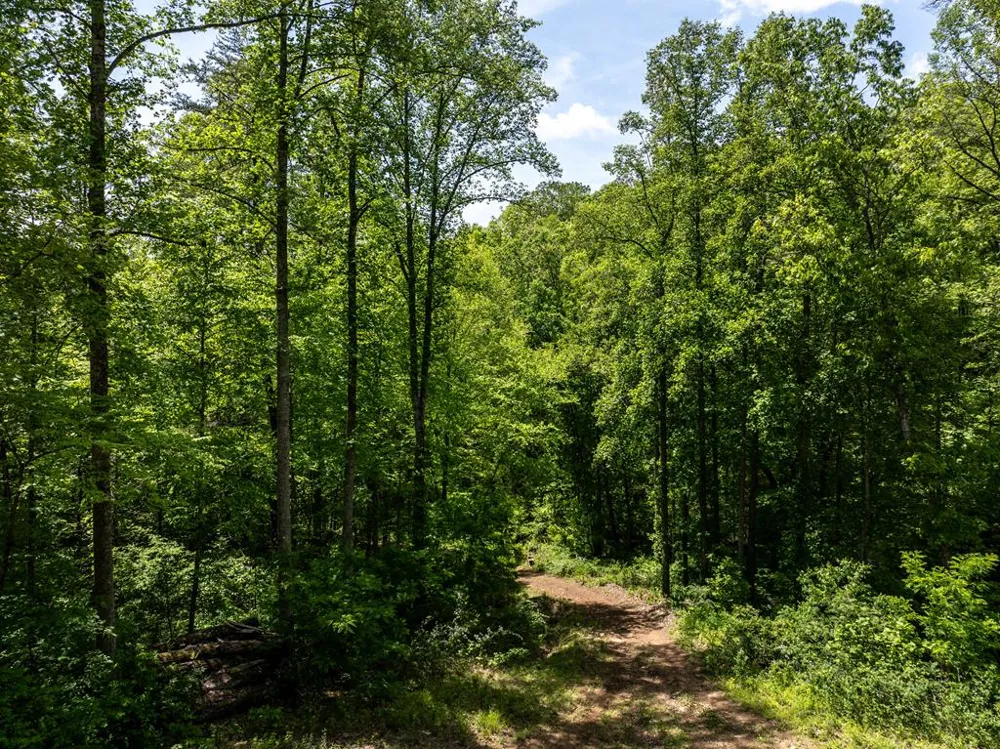 Woodring Cemetery Road Tuckasegee, NC 28783