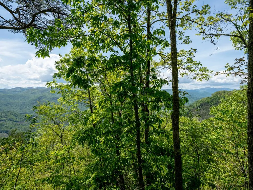 Woodring Cemetery Road Tuckasegee, NC 28783
