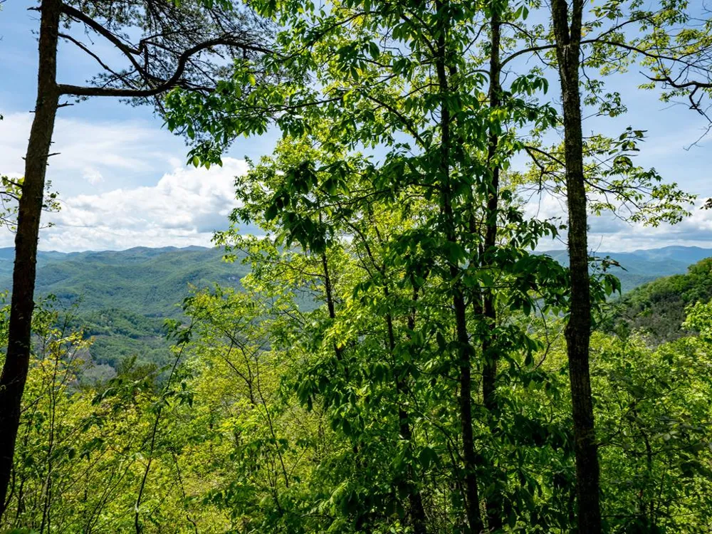 Woodring Cemetery Road Tuckasegee, NC 28783
