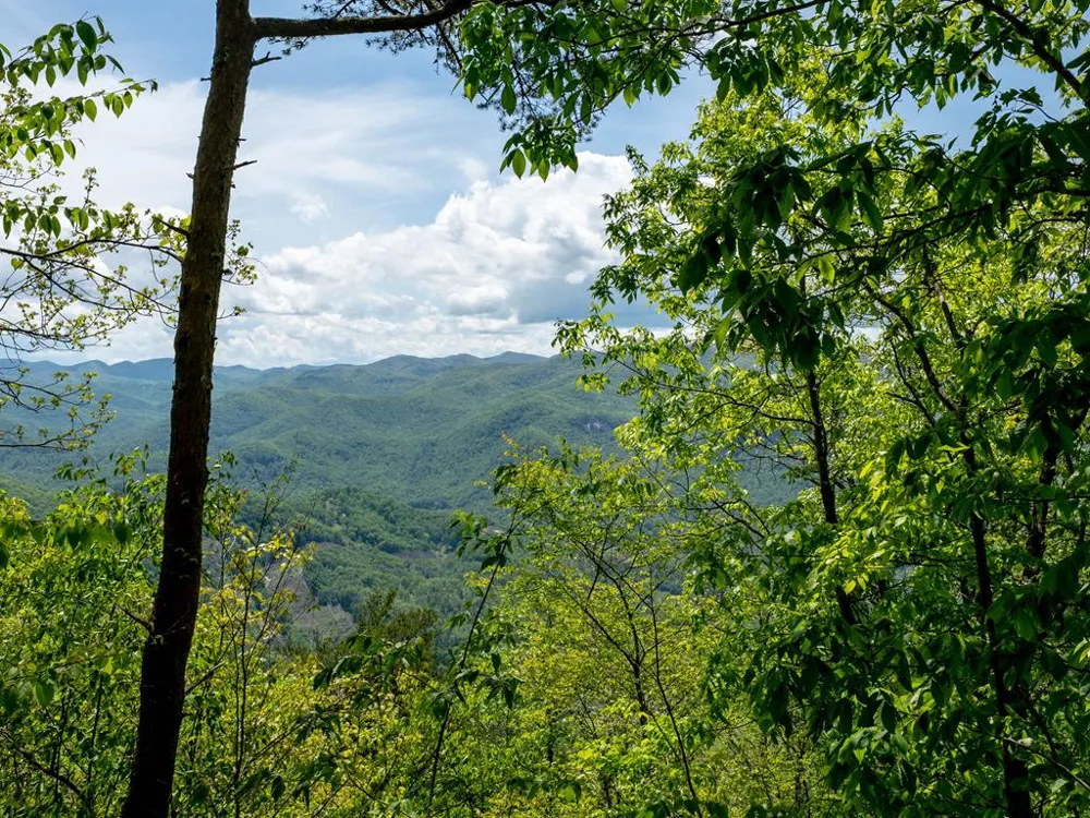Woodring Cemetery Road Tuckasegee, NC 28783