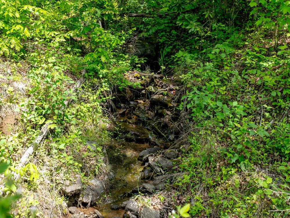 Woodring Cemetery Road Tuckasegee, NC 28783