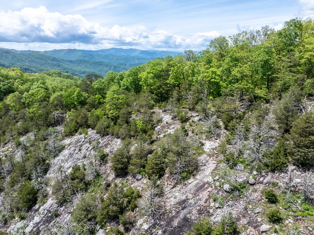 Woodring Cemetery Road Tuckasegee, NC 28783