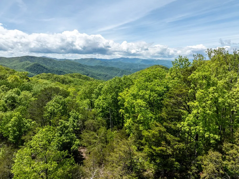 Woodring Cemetery Road Tuckasegee, NC 28783