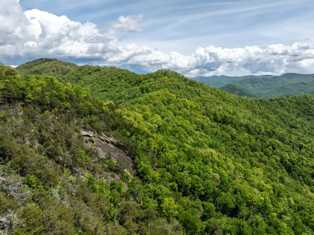 Woodring Cemetery Road Tuckasegee, NC 28783