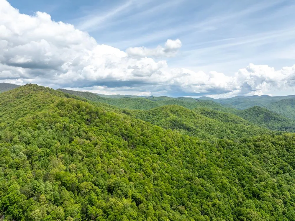 Woodring Cemetery Road Tuckasegee, NC 28783