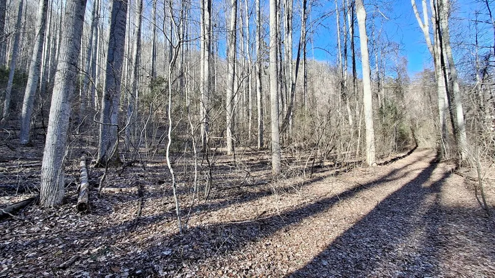 Briarwood road Webster, NC 28788