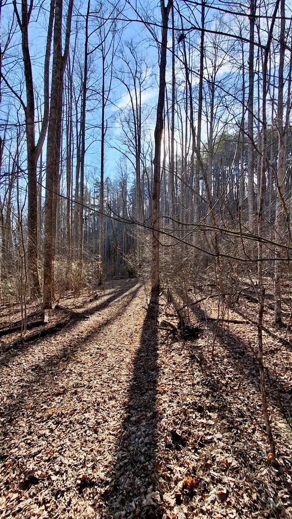 Briarwood road Webster, NC 28788