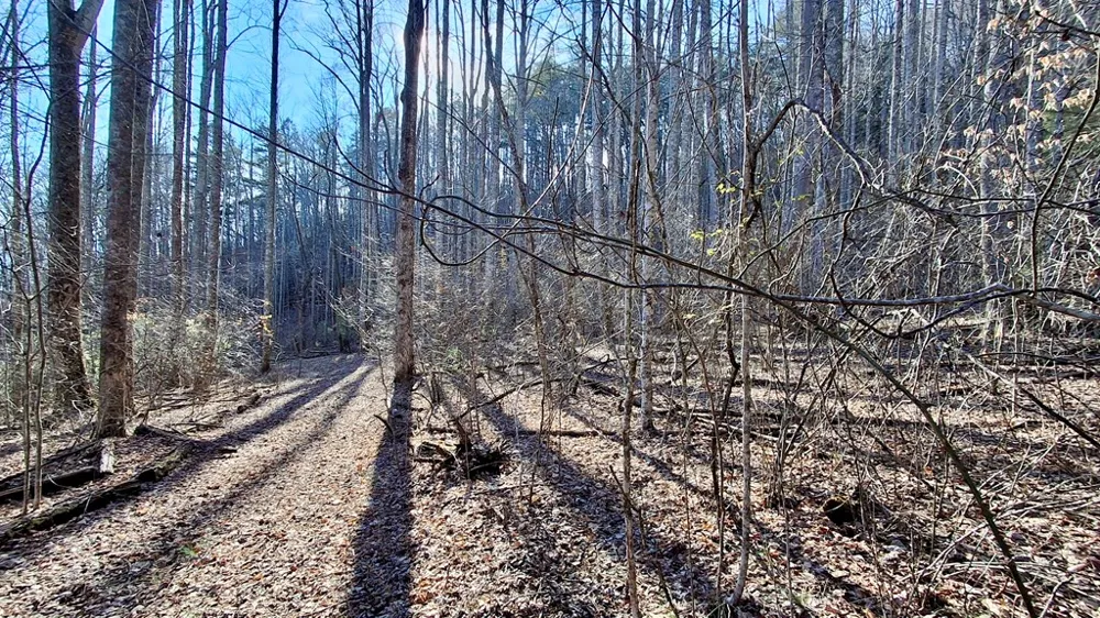 Briarwood road Webster, NC 28788