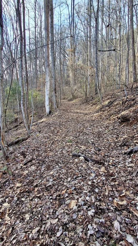 Briarwood road Webster, NC 28788