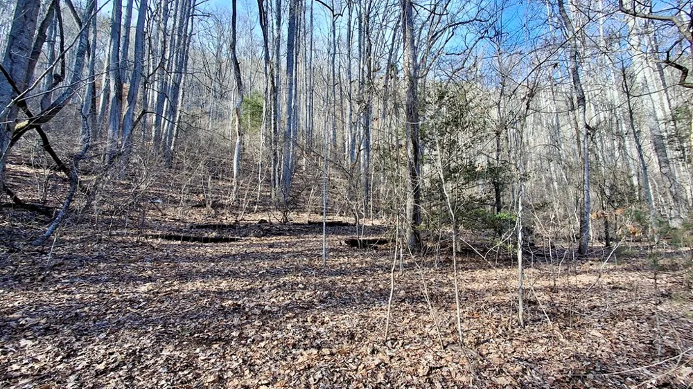 Briarwood road Webster, NC 28788