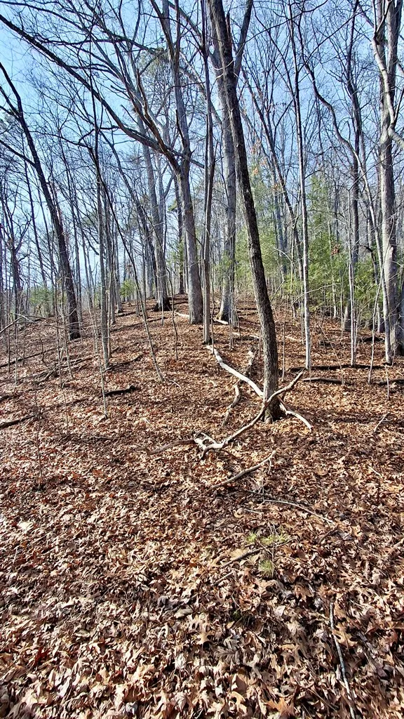 Briarwood road Webster, NC 28788