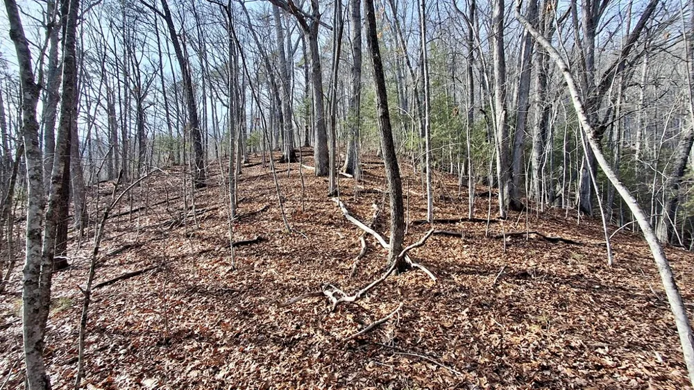 Briarwood road Webster, NC 28788