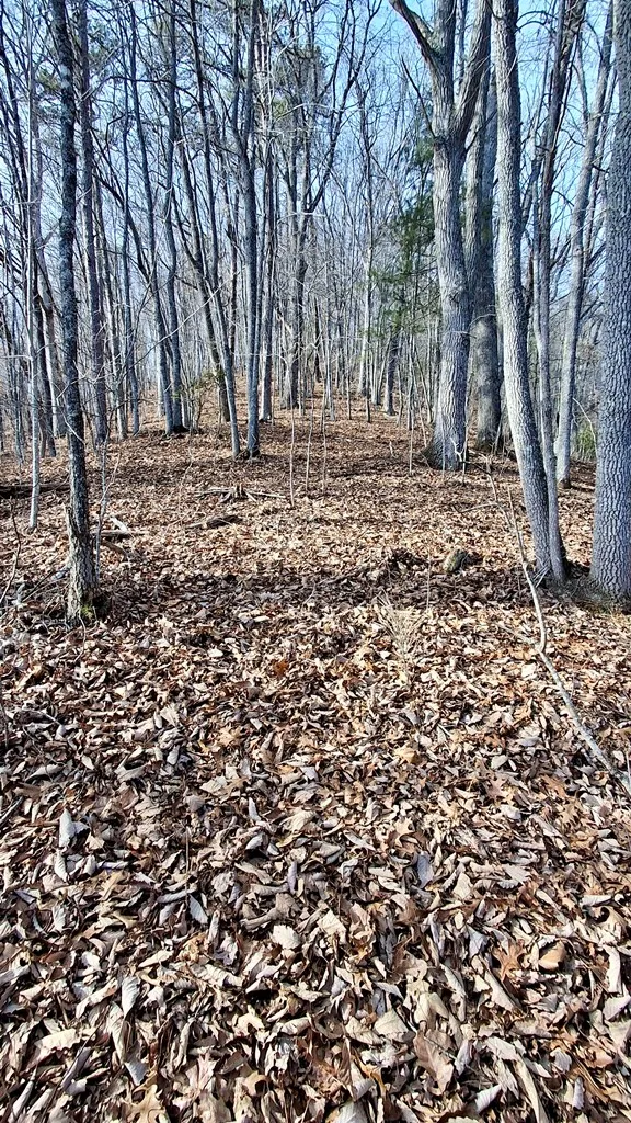 Briarwood road Webster, NC 28788