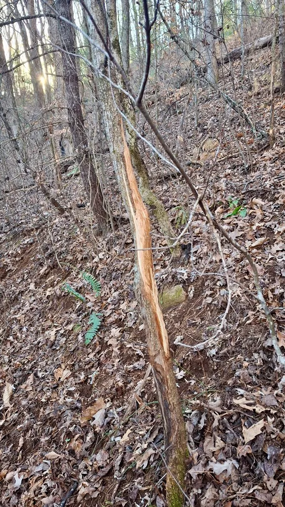 Briarwood road Webster, NC 28788
