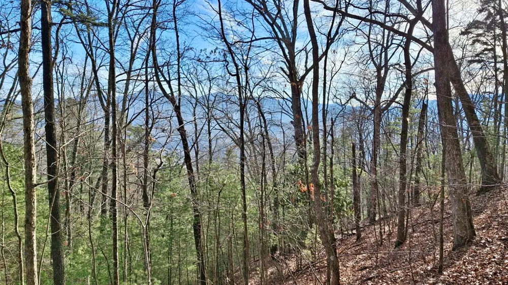 Briarwood road Webster, NC 28788