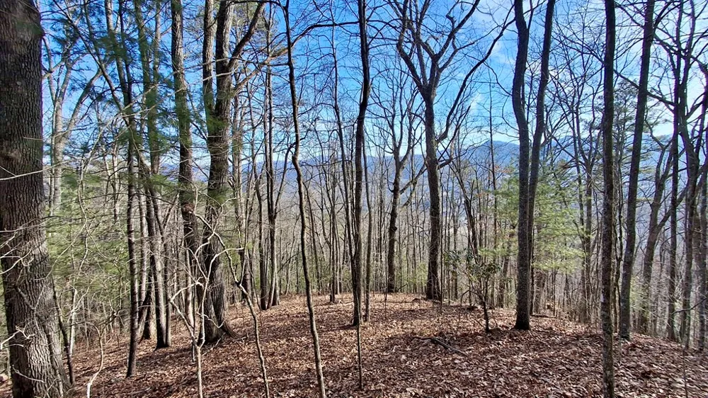 Briarwood road Webster, NC 28788