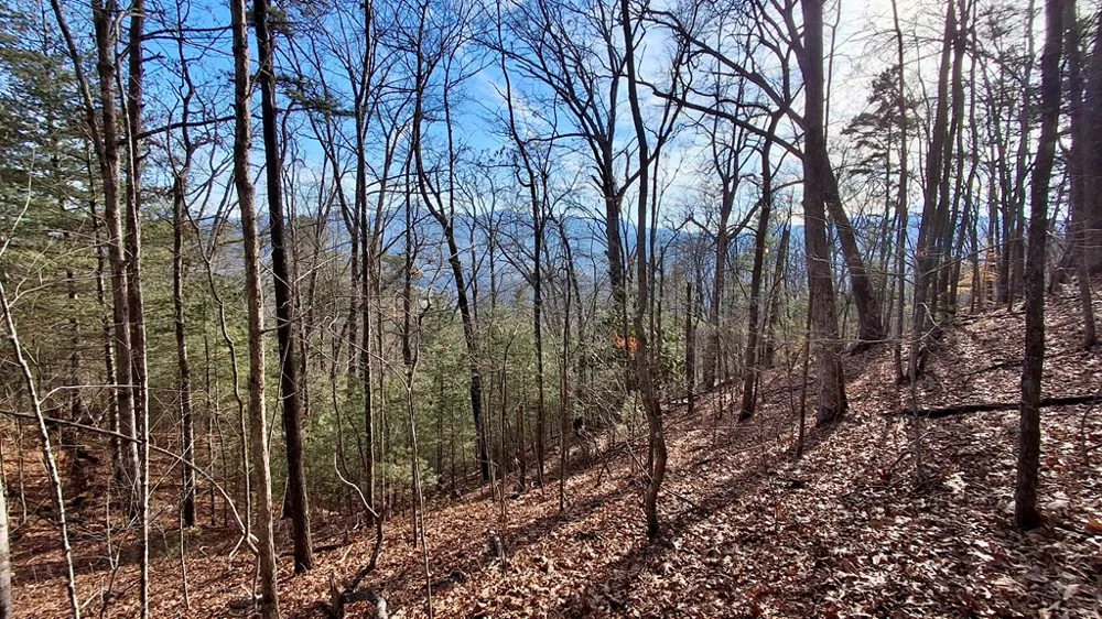 Briarwood road Webster, NC 28788