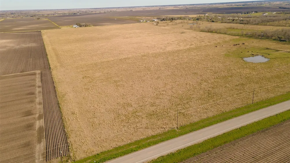 3 Fm 1462 Road Damon, TX 77430