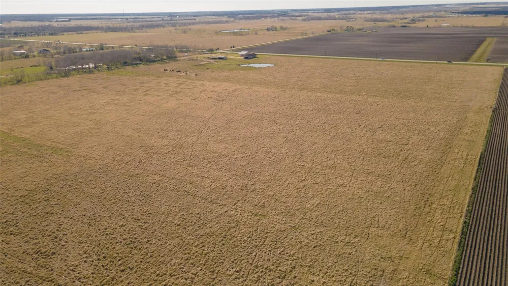 3 Fm 1462 Road Damon, TX 77430