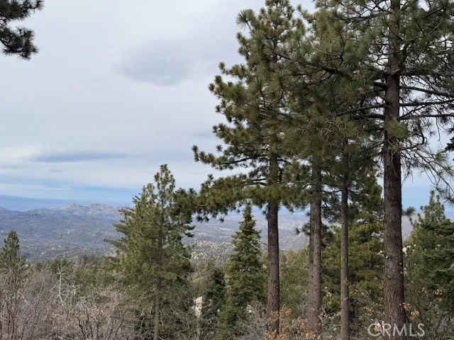 33149 Holcomb Creek Drive Green Valley Lake, CA 92341