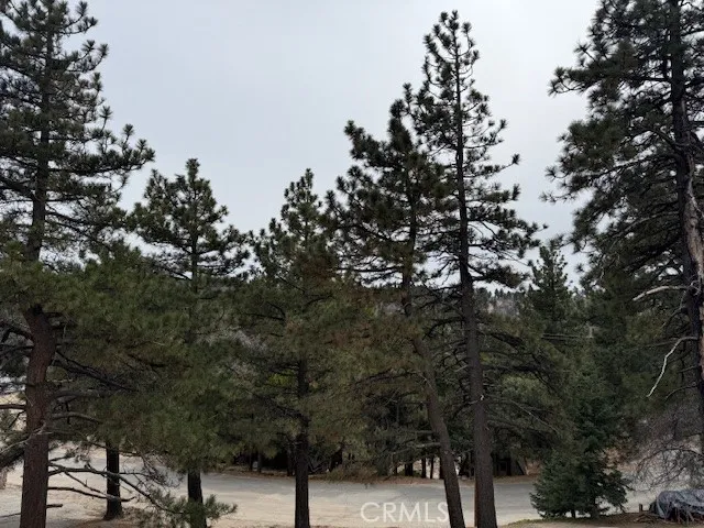 33149 Holcomb Creek Drive Green Valley Lake, CA 92341