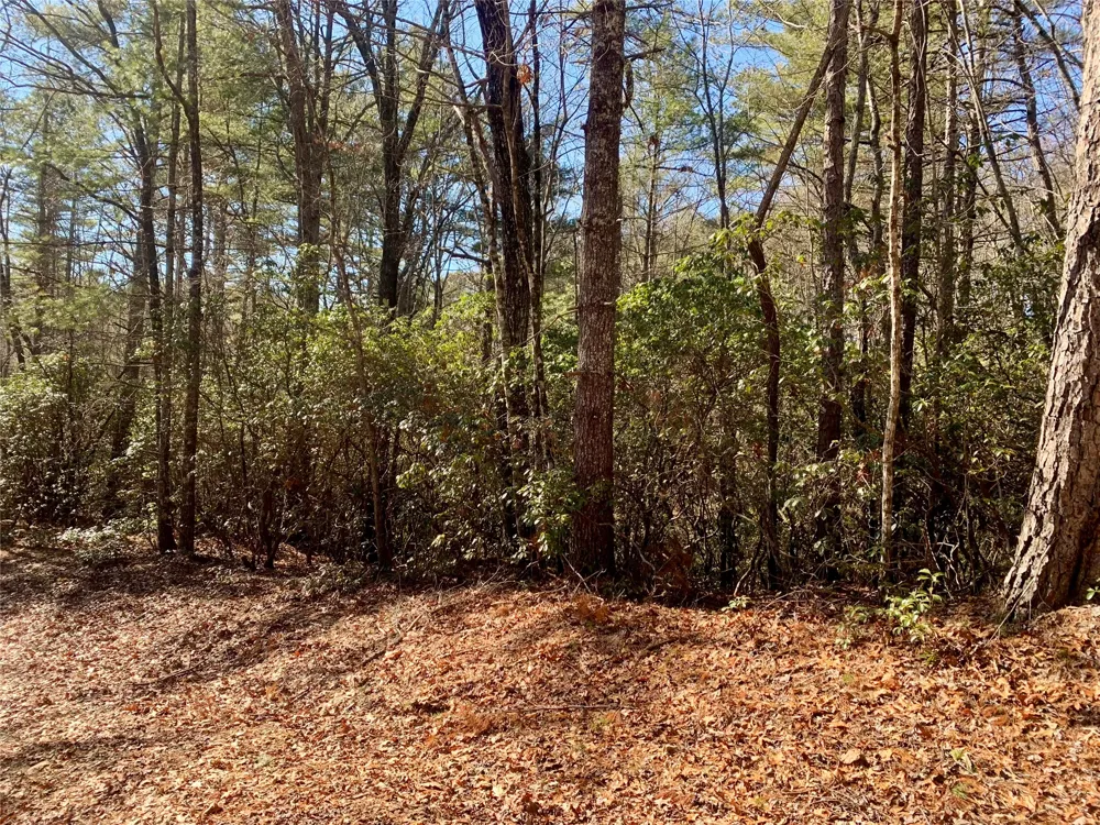 TBD Oak Ridge Drive Brevard, NC 28712