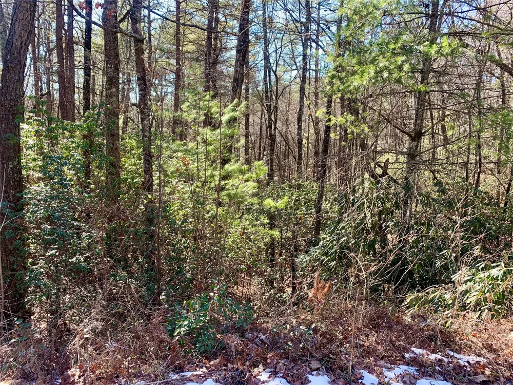 TBD Oak Ridge Drive Brevard, NC 28712
