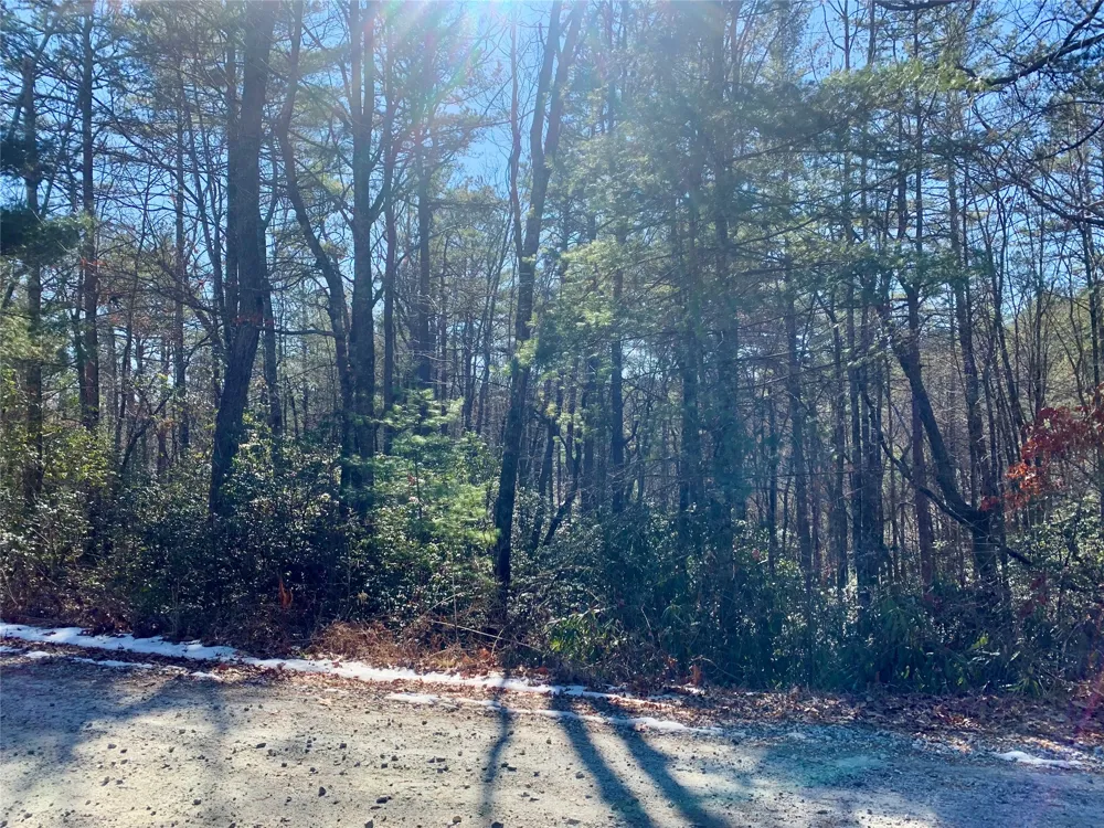 TBD Oak Ridge Drive Brevard, NC 28712