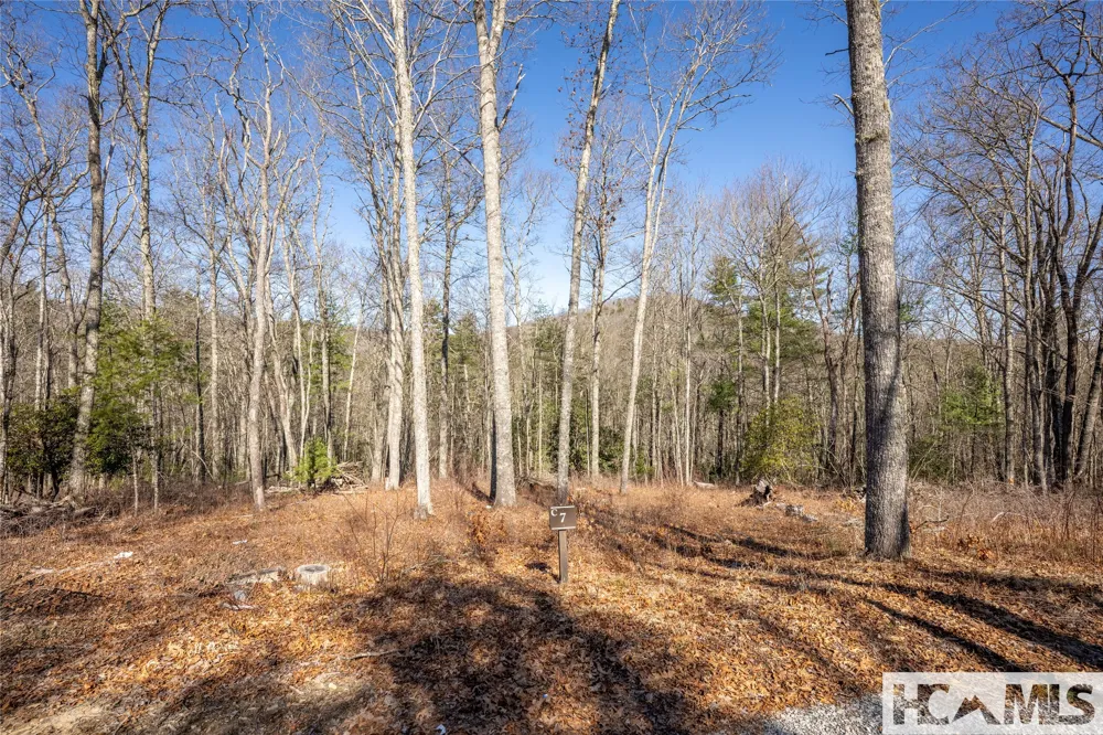 Lot C7 Snowcrest Drive Glenville, NC 28736