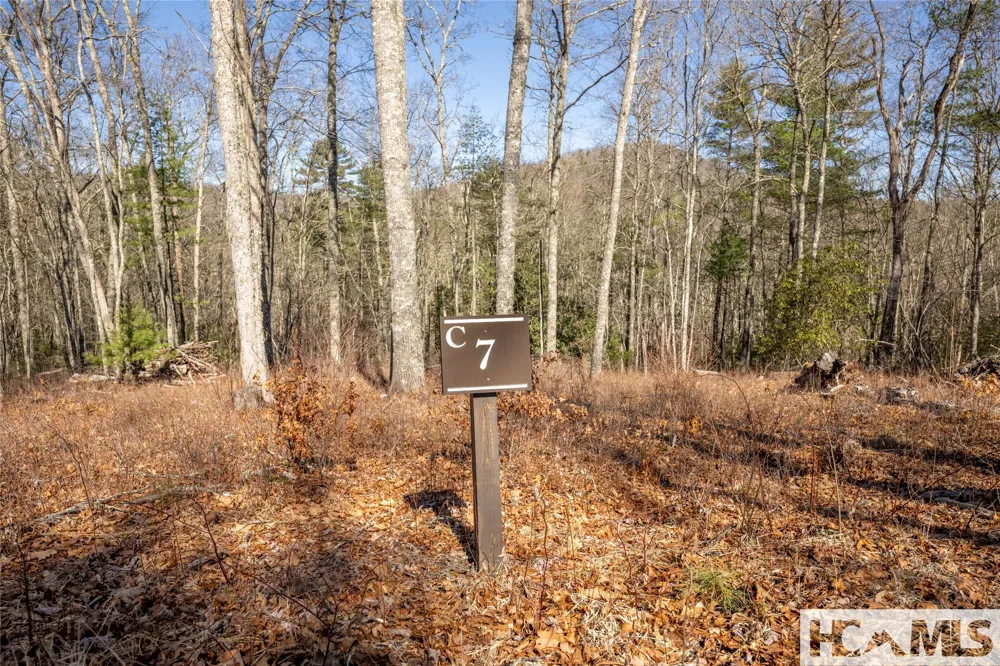 Lot C7 Snowcrest Drive Glenville, NC 28736