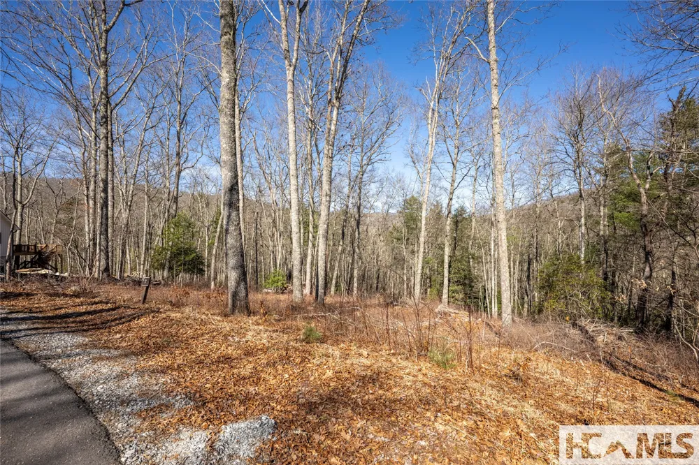 Lot C7 Snowcrest Drive Glenville, NC 28736