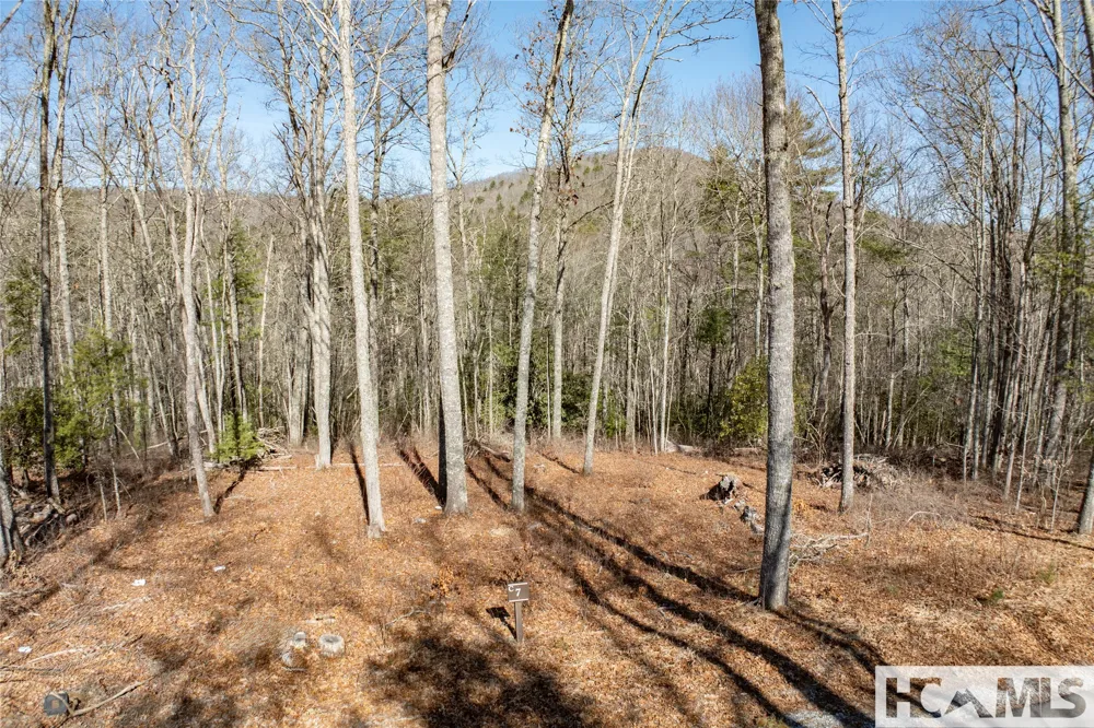 Lot C7 Snowcrest Drive Glenville, NC 28736